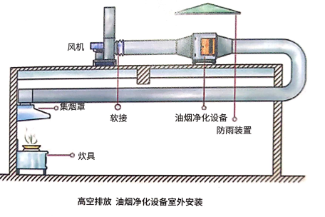 樱桃在线视频观看